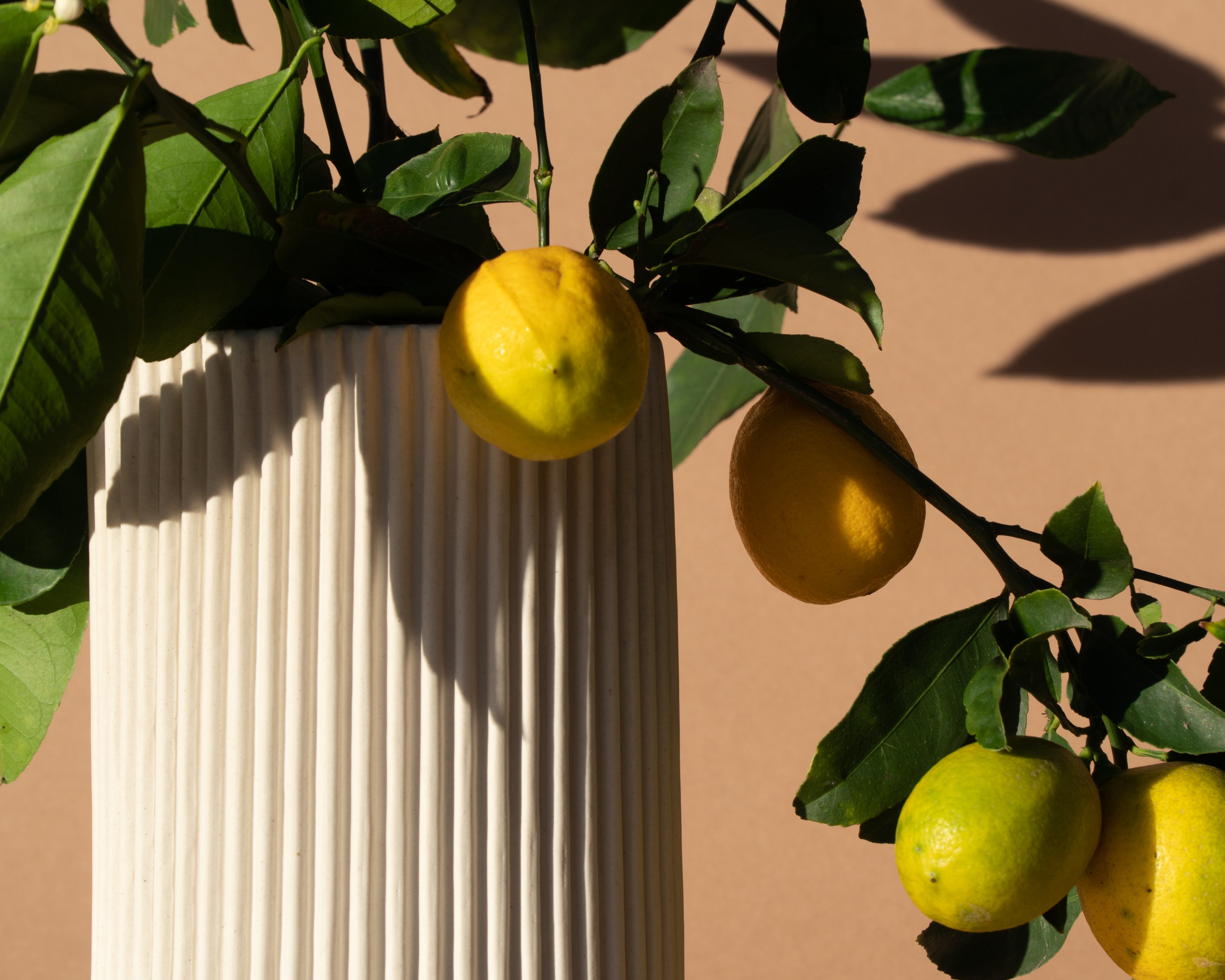 Large Ribbed Porcelain Vase – Wynne Ware